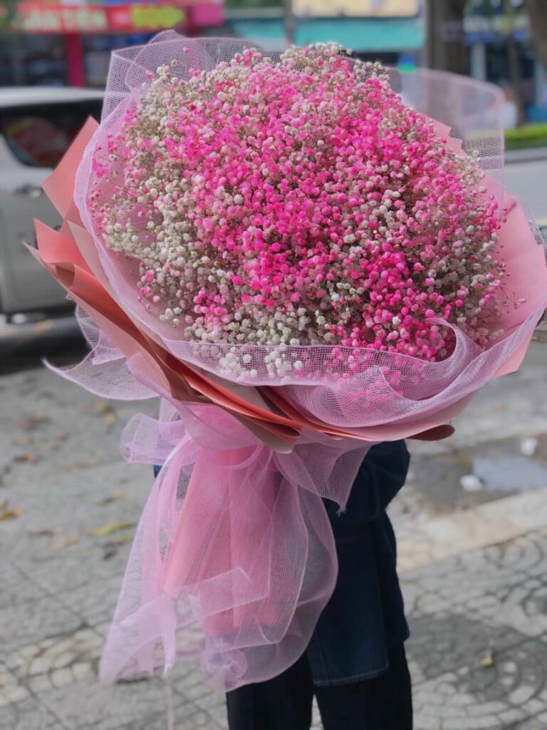 Hoa đẹp Bạc Liêu