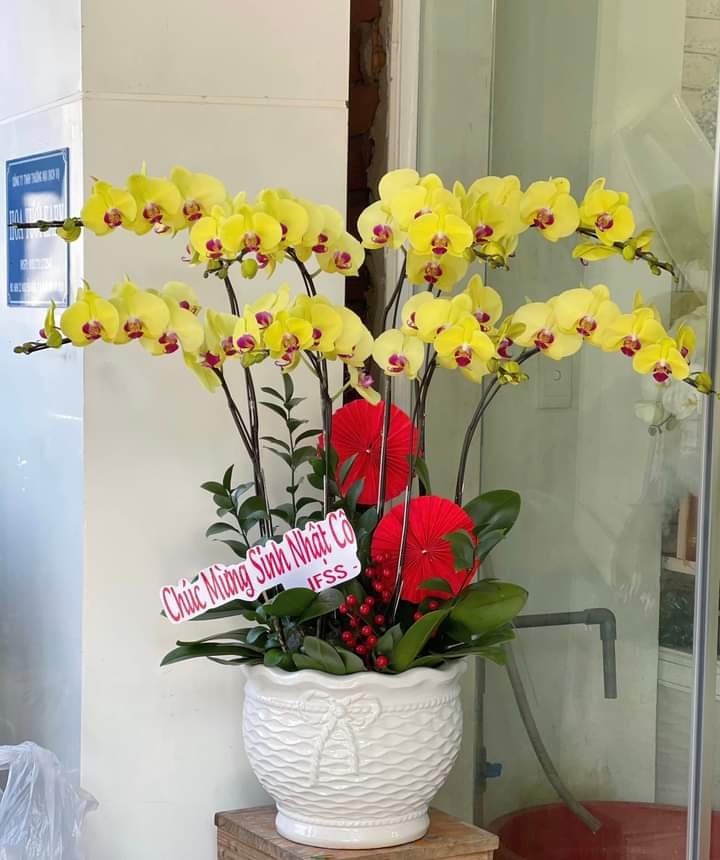 Tiệm hoa tươi Tân Bình