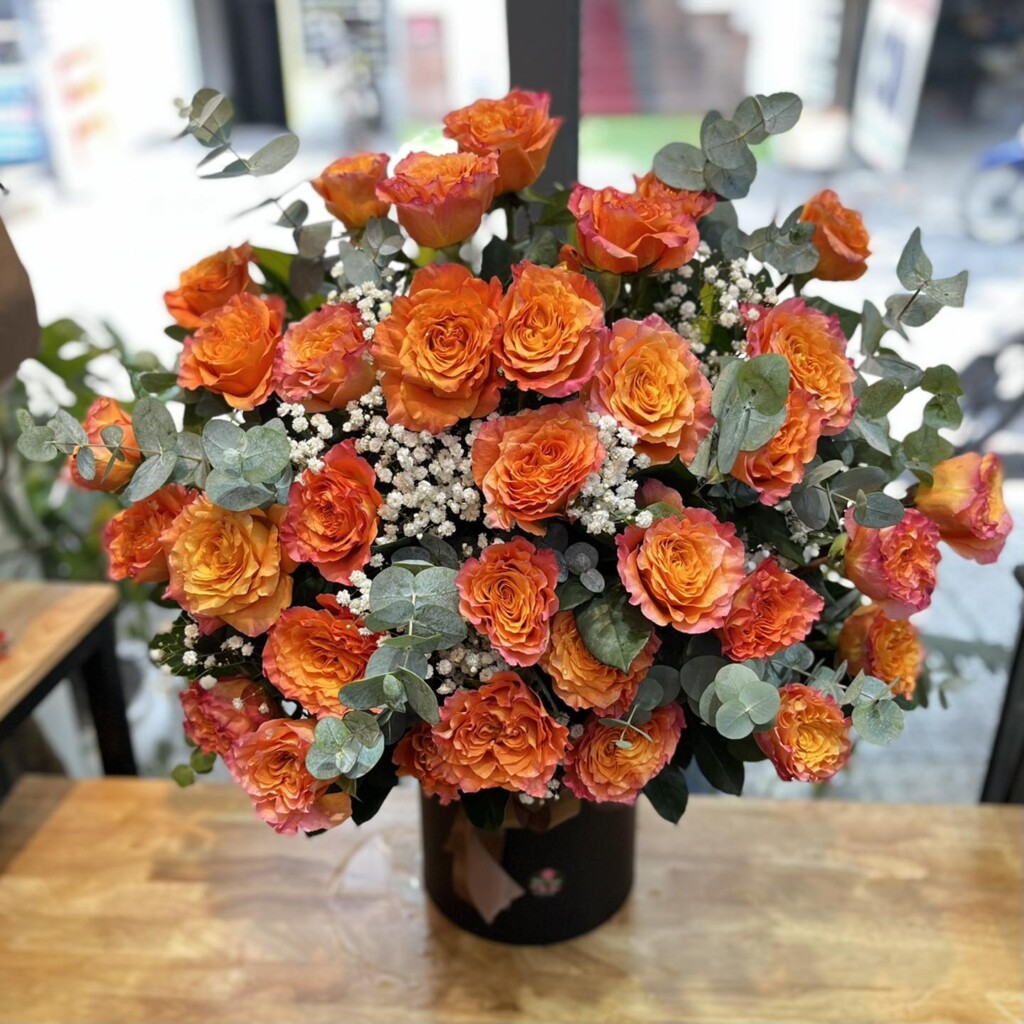 Hoa đẹp Mỹ Đức