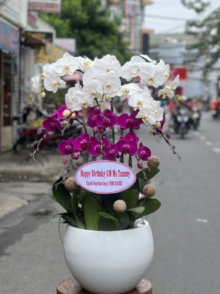 Hoa đẹp tại Quận Đống Đa