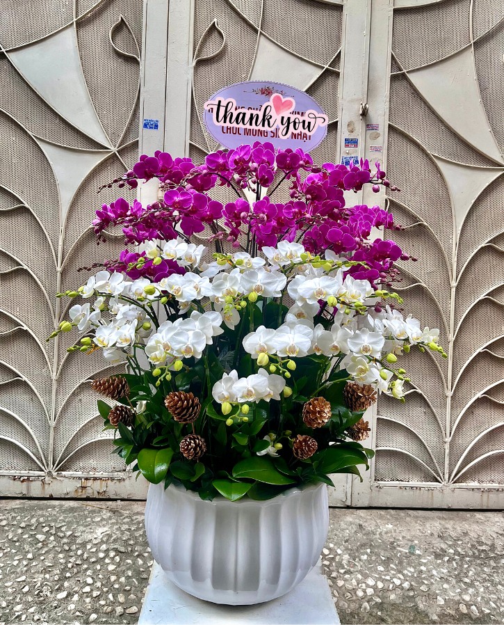 Hoa đẹp tại Shop Hoa tươi Quốc Oai