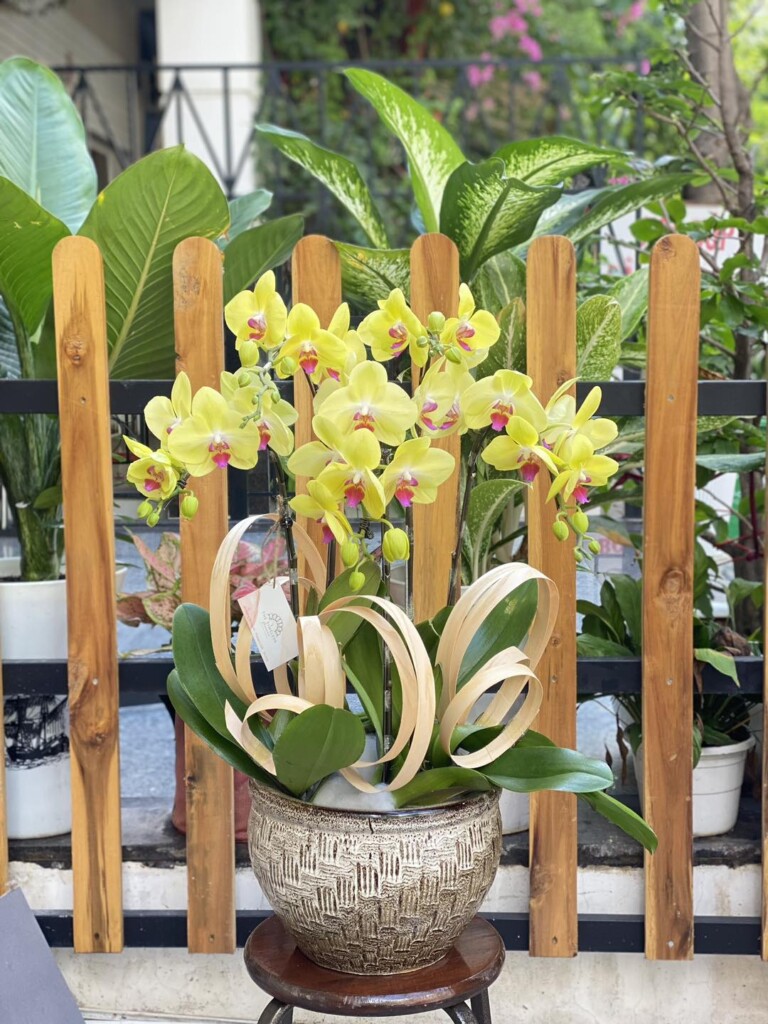 Hoa đẹp tại tiệm hoa Nam Từ Liêm