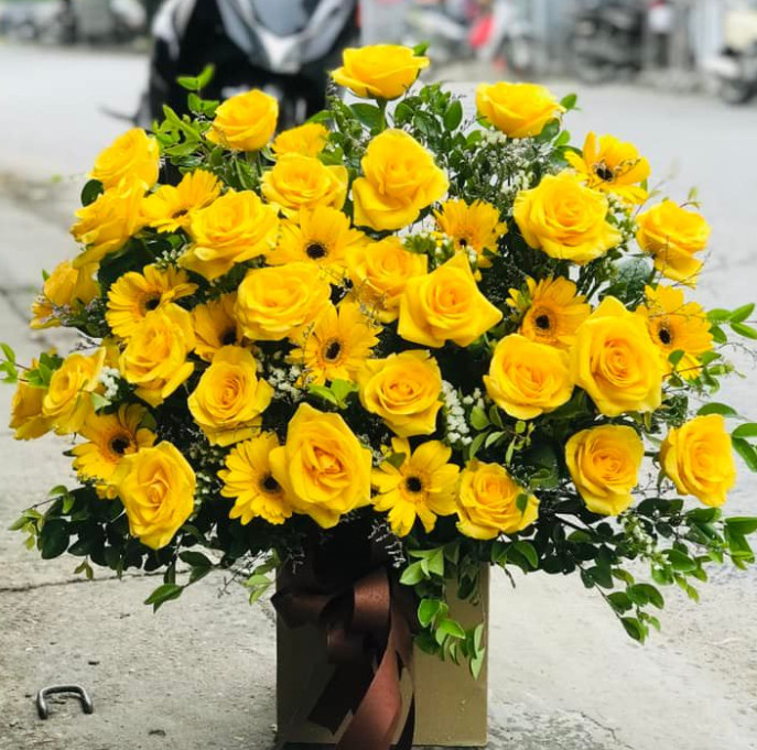 Hoa đẹp Thanh Oai