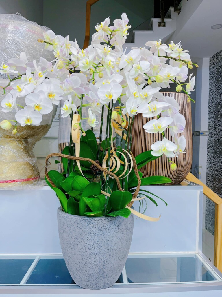 Mua hoa uy tín tại Hà Đông