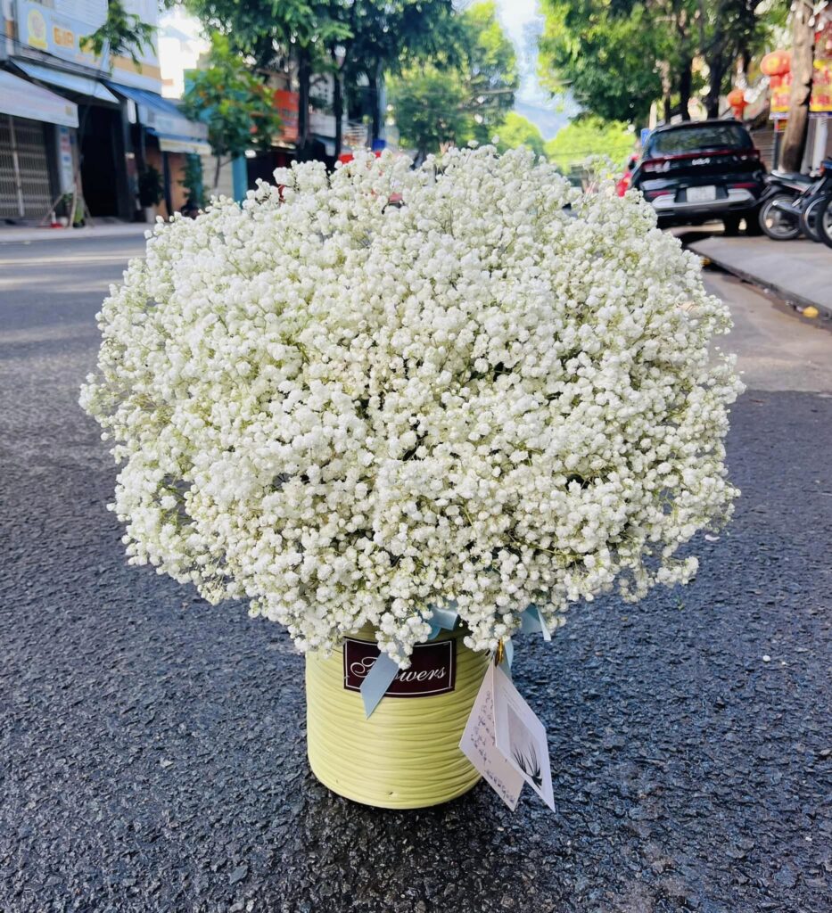 giỏ hoa baby tại Phường 13 Quận Bình Thạnh