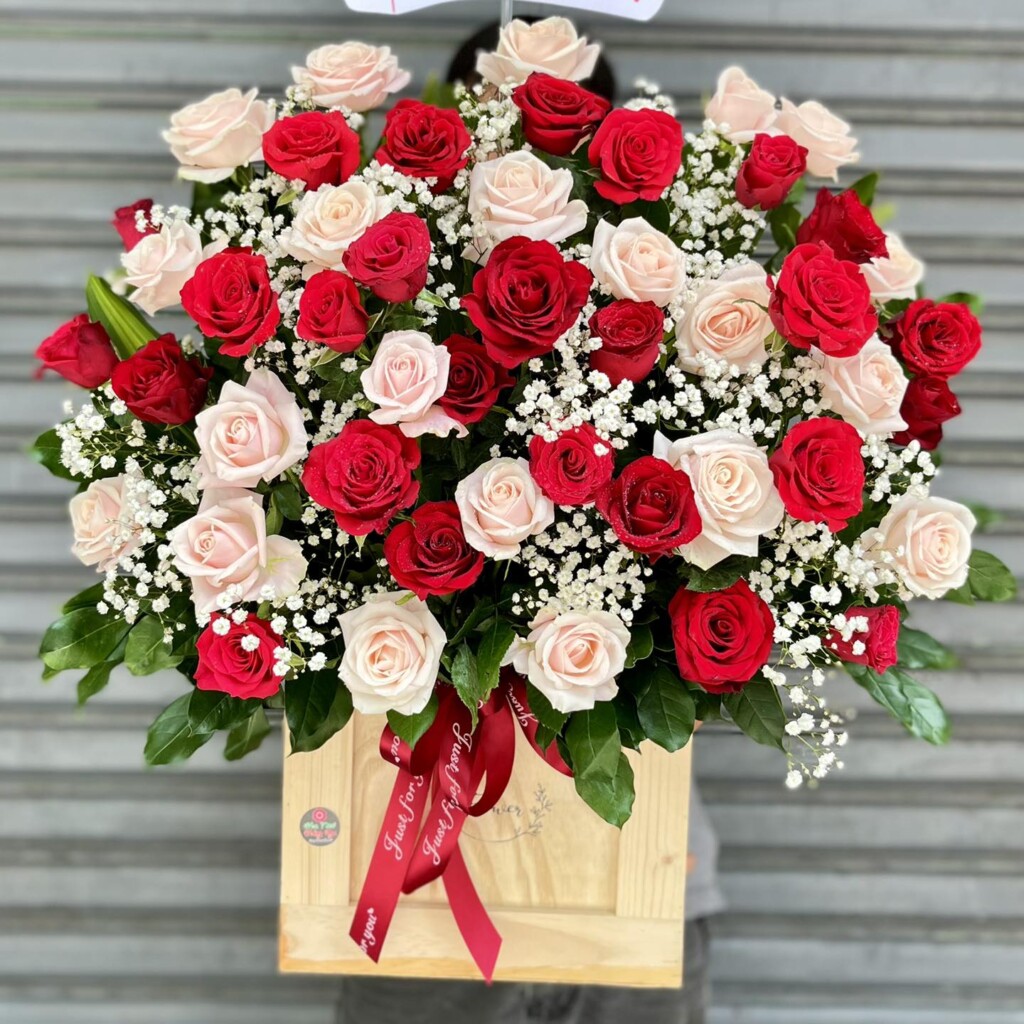 Hoa đẹp Cẩm Phả