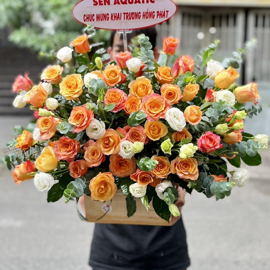 Hoa đẹp Cao Bằng